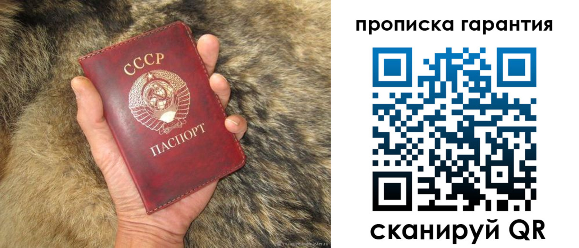 временная регистрация гарантия в Шатуре